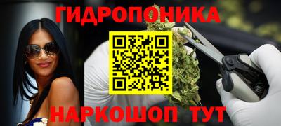 стафф Пыть-Ях