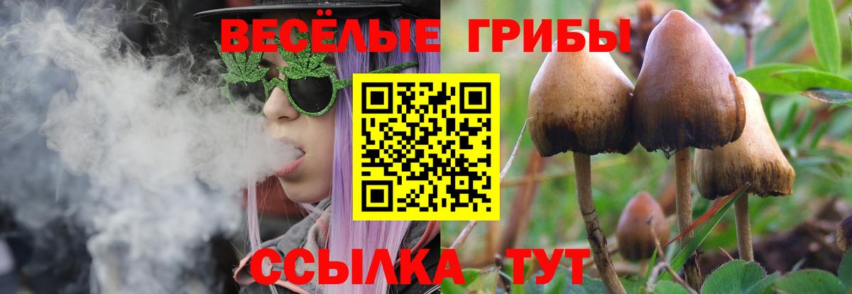 закладка  Галлюциногенные грибы прущие грибы  Псилоцибиновые грибы ЛСД  Вход с VPN  Славгород 
