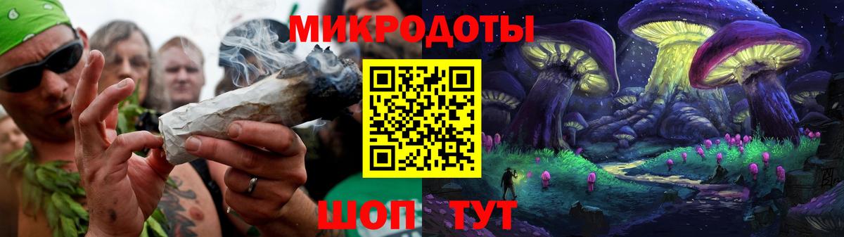 Псилоцибиновые грибы Psilocybe Славгород